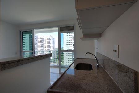 Apartamento para alugar com 81m², 2 quartos e 2 vagasCozinha - Armários