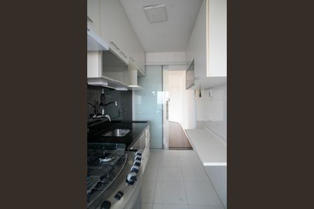 Apartamento para alugar com 62m², 2 quartos e sem vaga Apartamento para alugar com 62m², 2 quartos e sem vagaCozinha