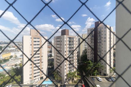 Apartamento para alugar com 49m², 2 quartos e 1 vagaVista do Quarto 1
