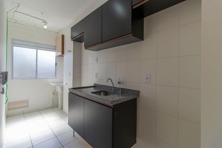 Apartamento para alugar com 47m², 2 quartos e 1 vagaCozinha - Armários