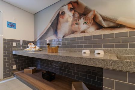 Apartamento para alugar com 30m², 1 quarto e sem vaga Apartamento para alugar com 30m², 1 quarto e sem vagaPet Care