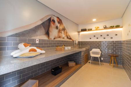 Apartamento para alugar com 30m², 1 quarto e sem vaga Apartamento para alugar com 30m², 1 quarto e sem vagaPet Care
