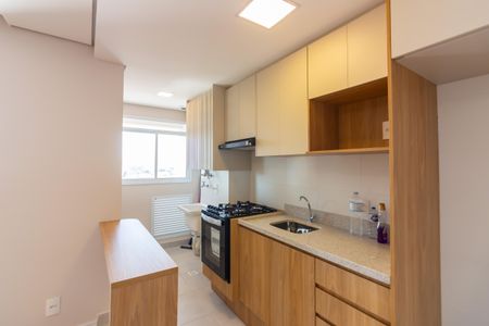 Apartamento para alugar com 50m², 2 quartos e 1 vagaCozinha 