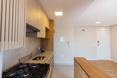 Apartamento para alugar com 50m², 2 quartos e 1 vagaCozinha 