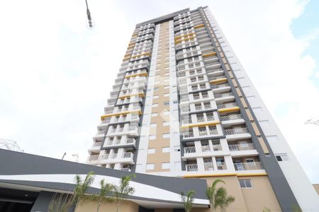 Apartamento para alugar com 50m², 2 quartos e 1 vagaÁrea Comum 