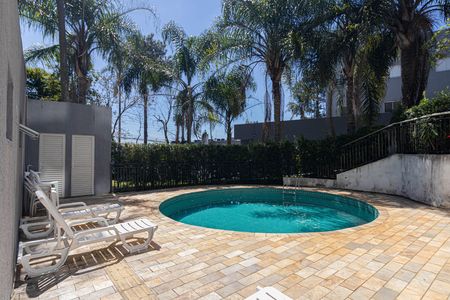 Área Comum - Piscina de apartamento para alugar com 1 quarto, 34m² em Santa Etelvina, São Paulo