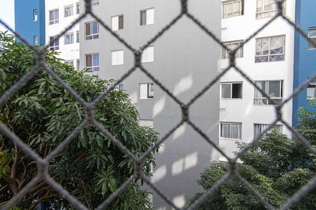 Vista Quarto 1 de apartamento para alugar com 1 quarto, 34m² em Santa Etelvina, São Paulo
