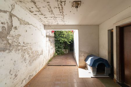 Casa para alugar com 454m², 3 quartos e 5 vagasQuintal