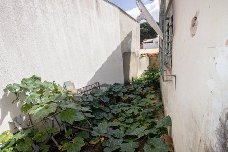 Casa para alugar com 300m², 3 quartos e 2 vagasQuintal