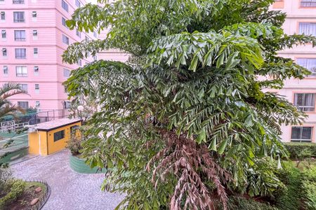 Apartamento à venda com 62m², 2 quartos e 1 vagaVista da Sala