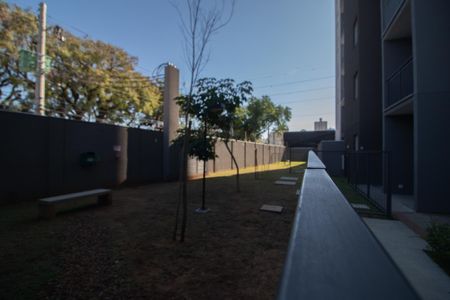 Apartamento para alugar com 35m², 2 quartos e sem vagaEspaço pet
