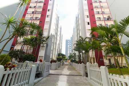 Apartamento para alugar com 50m², 2 quartos e 1 vagaÁrea comum