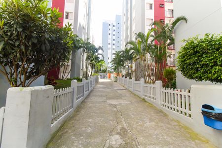 Apartamento para alugar com 50m², 2 quartos e 1 vagaÁrea comum