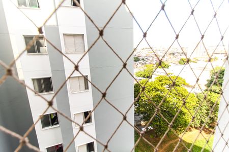 Apartamento para alugar com 50m², 2 quartos e 1 vagaVista do Quarto 1