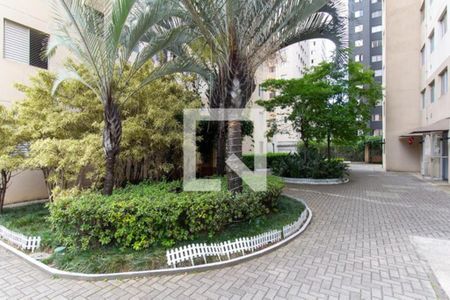 Apartamento para alugar com 45m², 2 quartos e sem vagaJardim