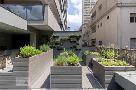 Studio para alugar com 32m², 1 quarto e 1 vagaHorta