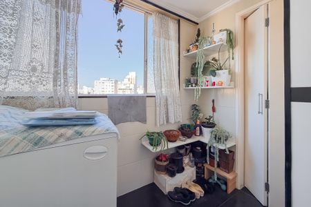 Área de Serviço de apartamento para alugar com 2 quartos, 72m² em Cambuci, São Paulo