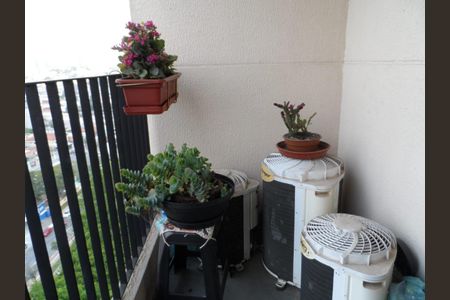 Foto 12 de apartamento à venda com 3 quartos, 70m² em Jardim Paraíso, São Paulo