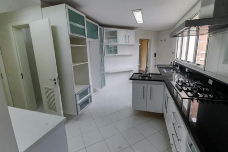 Apartamento à venda com 260m², 4 quartos e 4 vagasCozinha - Armários