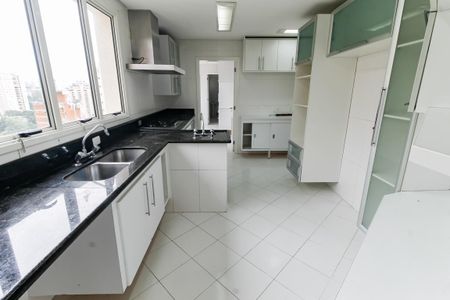 Apartamento à venda com 260m², 4 quartos e 4 vagasCozinha - Armários
