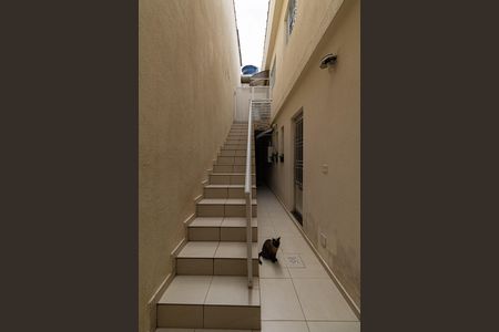 Casa para alugar com 43m², 3 quartos e sem vaga Casa para alugar com 43m², 3 quartos e sem vagaEscada