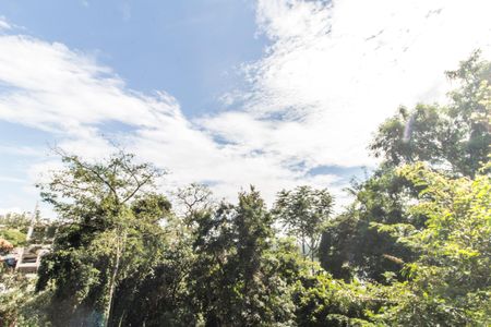 Casa para alugar com 50m², 2 quartos e sem vagaVista