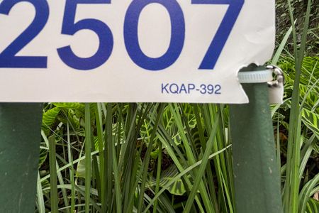 Apartamento à venda com 189m², 3 quartos e 1 vaga