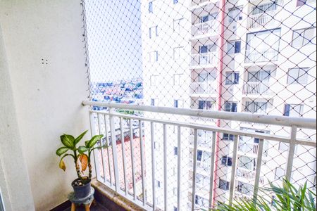 Sala de apartamento à venda com 3 quartos, 63m² em Vila Homero Thon, Santo André