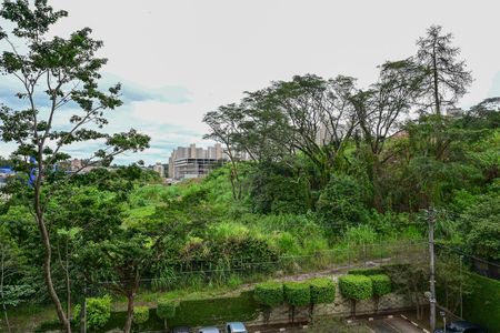 Vista do Quarto 1 de apartamento para alugar com 2 quartos, 58m² em Jardim Boa Vista, São Paulo