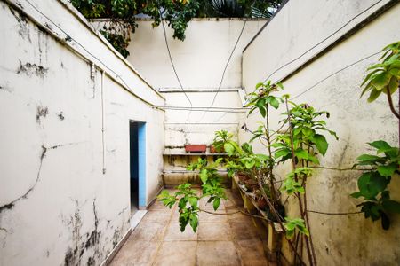 Casa para alugar com 350m², 3 quartos e 3 vagaslavanderia