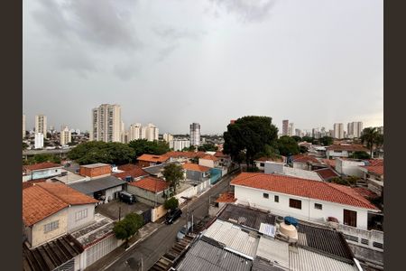 Studio para alugar com 20m², 1 quarto e sem vagaVista 