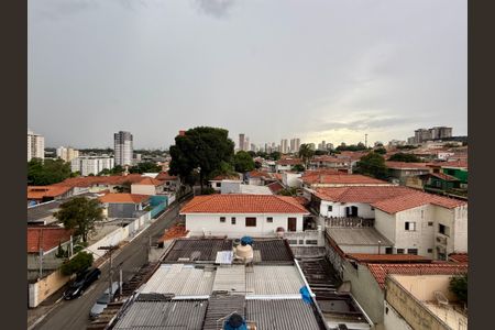 Studio para alugar com 20m², 1 quarto e sem vagaVista 