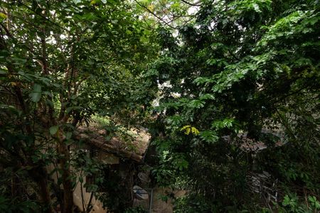 Casa para alugar com 598m², 4 quartos e 3 vagasSuíte