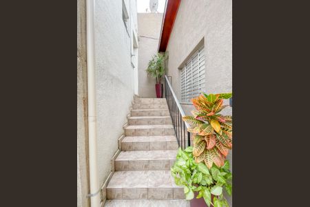 Casa para alugar com 30m², 1 quarto e sem vaga Casa para alugar com 30m², 1 quarto e sem vagaEscada de acesso