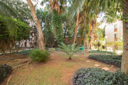 Apartamento à venda com 79m², 3 quartos e 1 vagaBosque