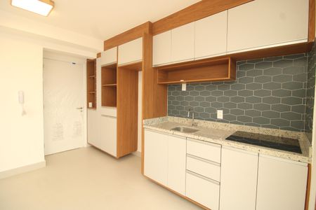 Apartamento para alugar com 35m², 1 quarto e sem vagaCozinha
