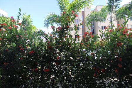Apartamento para alugar com 62m², 2 quartos e 1 vagaQuarto 2 - Vista
