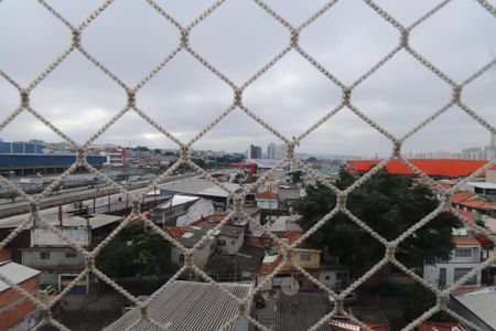 Apartamento para alugar com 60m², 3 quartos e 1 vagaVista do Quarto 1