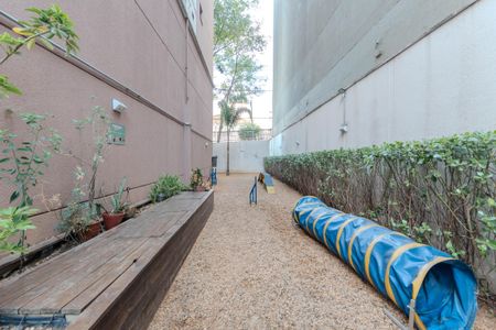 Apartamento para alugar com 26m², 2 quartos e sem vagaEspaço Pets