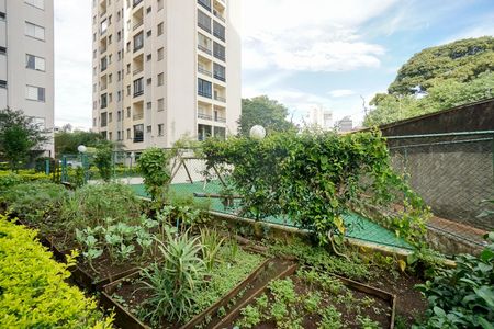Apartamento para alugar com 52m², 2 quartos e 1 vagaHorta
