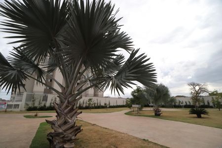 Apartamento para alugar com 56m², 2 quartos e 1 vagaÁrea comum