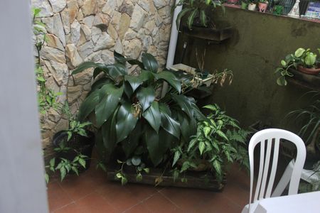 Casa à venda com 250m², 3 quartos e 3 vagasJardim de inverno