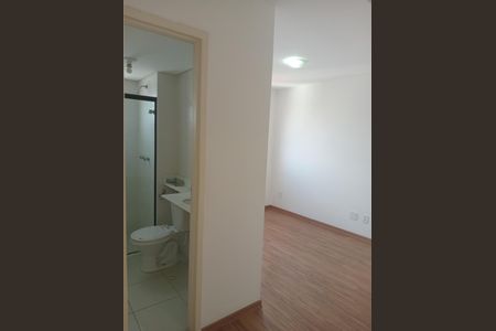 Apartamento para alugar com 65m², 2 quartos e 1 vaga Apartamento para alugar com 65m², 2 quartos e 1 vagaCorredor