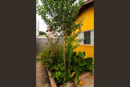 Casa para alugar com 166m², 2 quartos e 3 vagasJardim