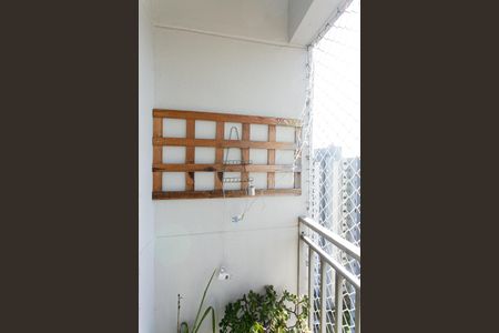 Varanda da Sala de apartamento à venda com 3 quartos, 79m² em Vila Carlos de Campos, São Paulo