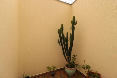 Apartamento para alugar com 163m², 1 quarto e 2 vagasVaranda da Suíte