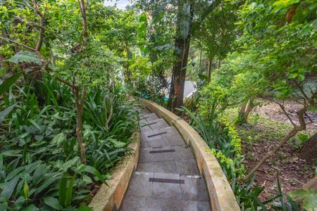 Casa para alugar com 700m², 3 quartos e 12 vagas Casa para alugar com 700m², 3 quartos e 12 vagasEscada para piscina