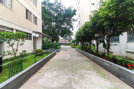 Apartamento à venda com 67m², 3 quartos e 1 vagaÁrea comum