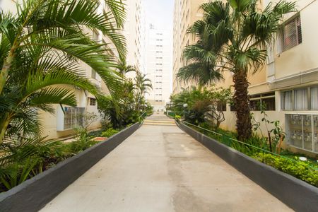 Apartamento à venda com 67m², 3 quartos e 1 vagaÁrea comum