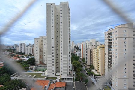 Vista da Suíte de apartamento para alugar com 3 quartos, 74m² em Jardim da Saúde, São Paulo